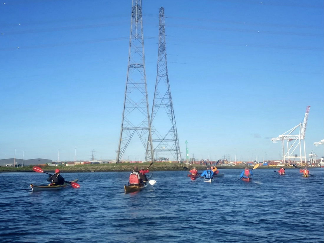 eling dusk group 2022